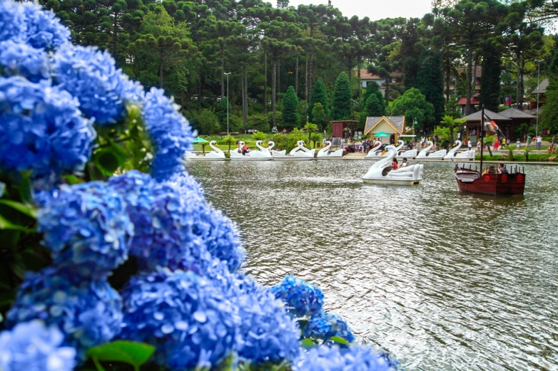 Ainda dá tempo de visitar o Natal Luz de Gramado com a excursão do Sesc  Itaqui - SESC-RS