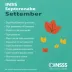 INSS: pagamentos de setembro começam dia 24 e vão até 7 de outubro; veja quem recebe primeiro