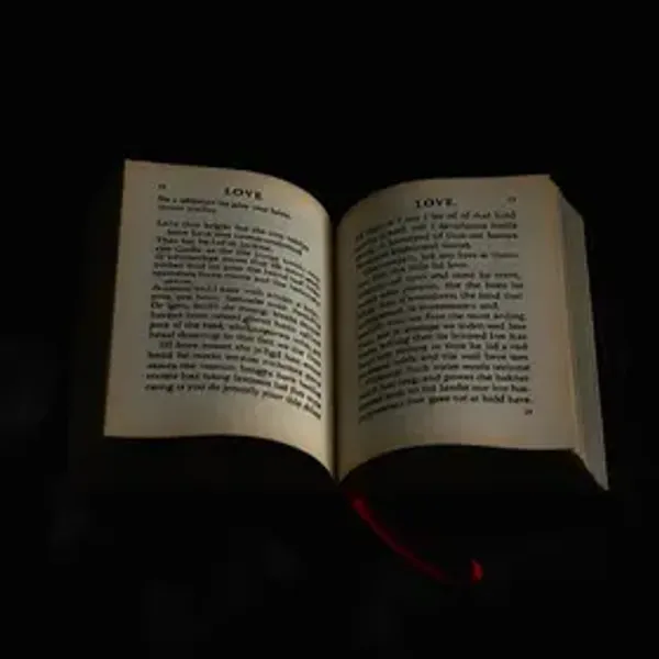 O Lado Sombrio do Amor: Sobre o Livro e Sua Mensagem