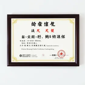 Como emitir Certificado MEI: Emita seu comprovante